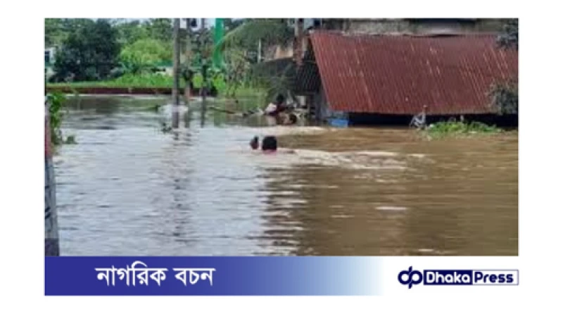 ন্যায় প্রাণহানির সংখ্যা বৃদ্ধি: বিস্তারিত তথ্য