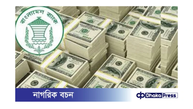 আগস্টে প্রবাসী আয় ২৫ হাজার কোটি টাকা ছাড়িয়েছে