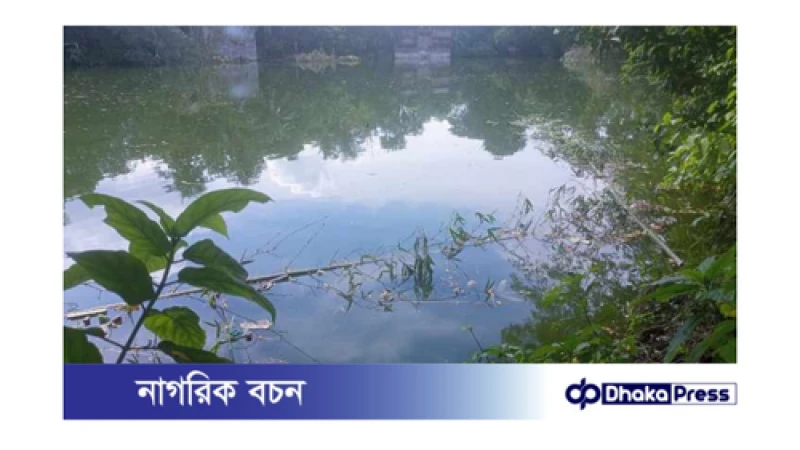মুরাদনগরে বিএনপির নেতা পরিচয়ে লিজকৃত পুকুর দখলের অভিযোগ