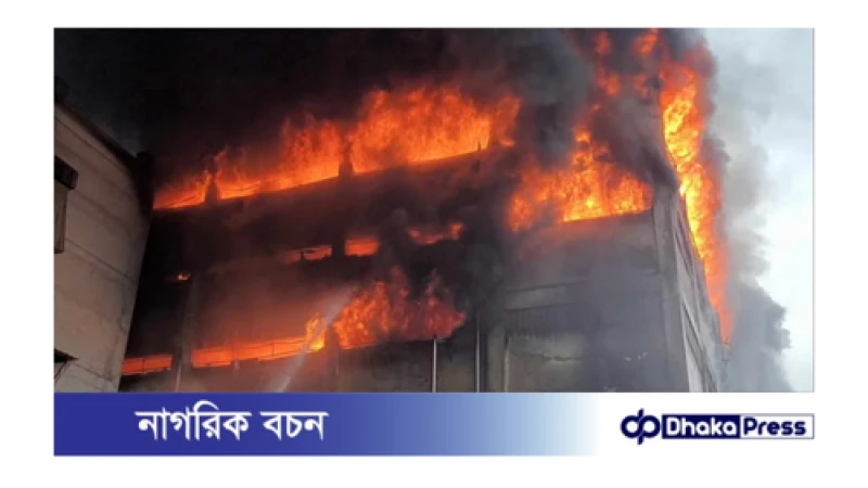 গাজী টায়ার্সে আগুন ও লুটপাটের ঘটনায় তদন্ত কার্যক্রমের অংশ গণশুনানি শুরু