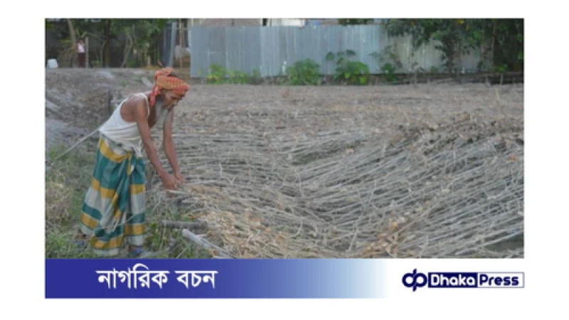 বন্যার পানি নেমে গেলেও, শুকায় নি ফসলি মাঠের ক্ষত 