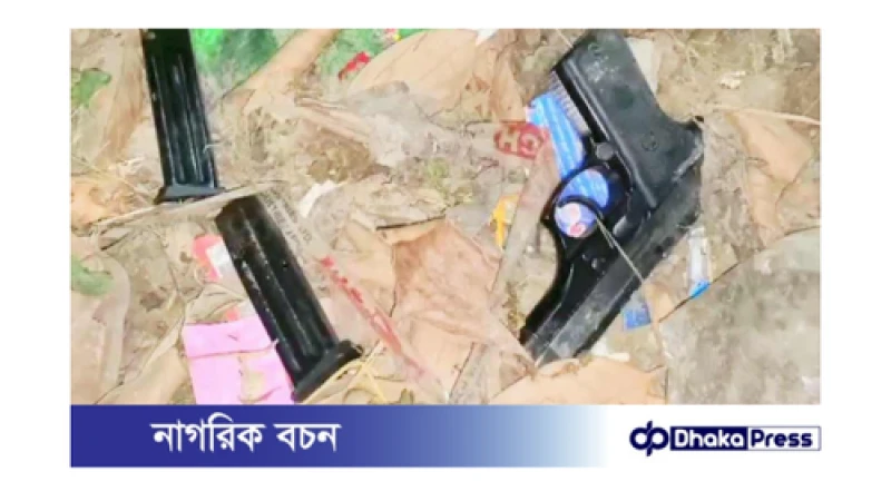 নাটোরে বিদেশী পিস্তল ও গুলি সহ দুইটি ম্যাগজিন উদ্ধার