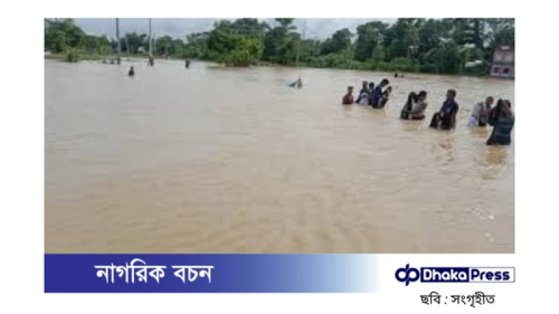 বন্যায় কুমিল্লার মৎস্য খাতে বিপুল ক্ষতি: চাষিরা বিপাকে