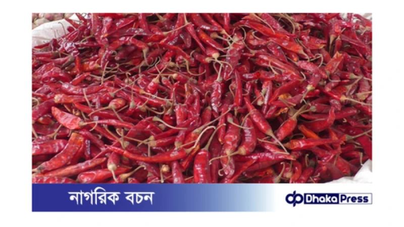 হিলিতে শুকনো মরিচের দাম কমেছে: ক্রেতাদের স্বস্তি, ব্যবসায়ীদের আশা