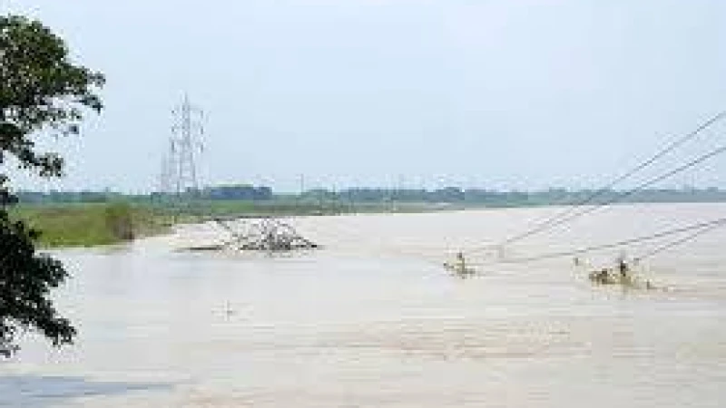 কুষ্টিয়ায় নদী ভাঙনে জাতীয় বিদ্যুৎ গ্রিডের টাওয়ার বিলীন