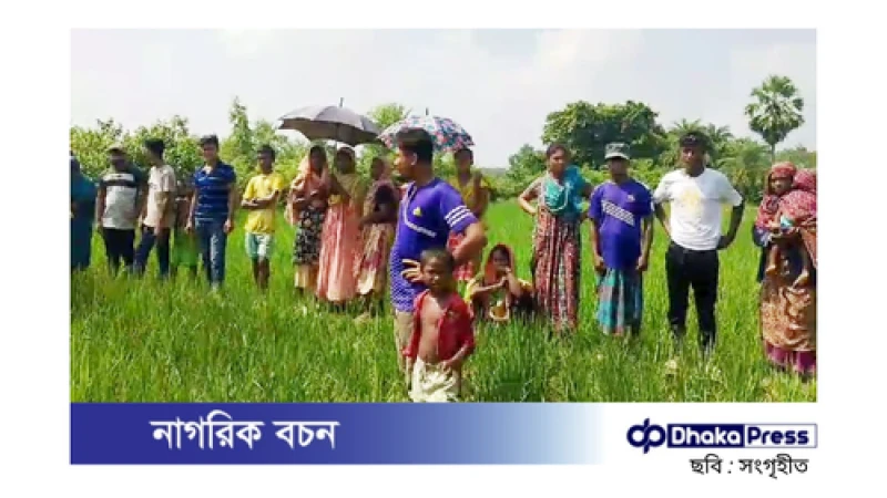 বিরামপুরে ধানক্ষেতে অজ্ঞাত নারীর মরদেহ উদ্ধার