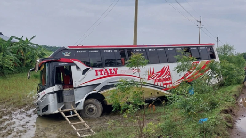 পটুয়াখালীর কলাপাড়ায় ভয়াবহ সড়ক দুর্ঘটনা: ১৫ আহত