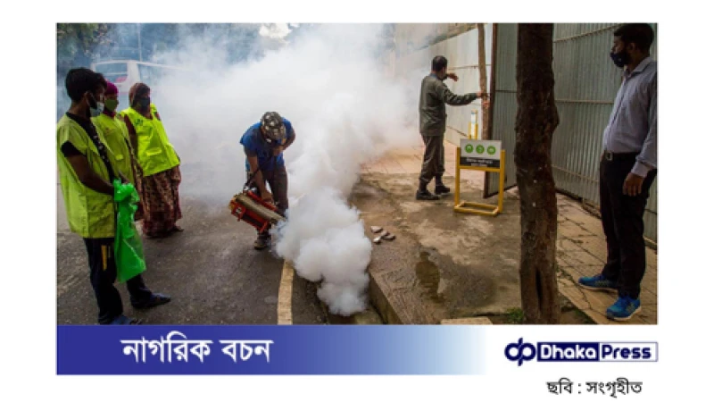 সরকার গঠন করল ডেঙ্গু মোকাবিলায় ১০টি বিশেষ টিম