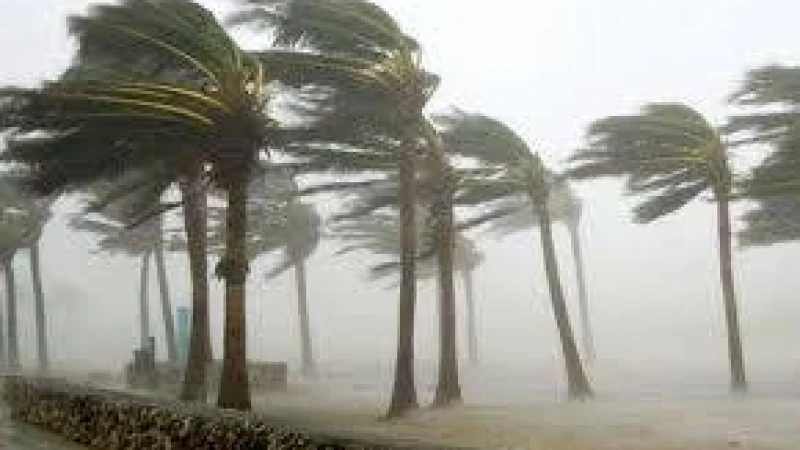 ঝড়বৃষ্টির পূর্বাভাস: দেশের ৯ জেলা সতর্ক থাকুন!