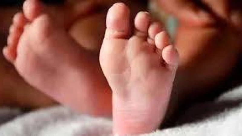 নিখোঁজ শিশুর মরদেহ ধানখেতে উদ্ধার