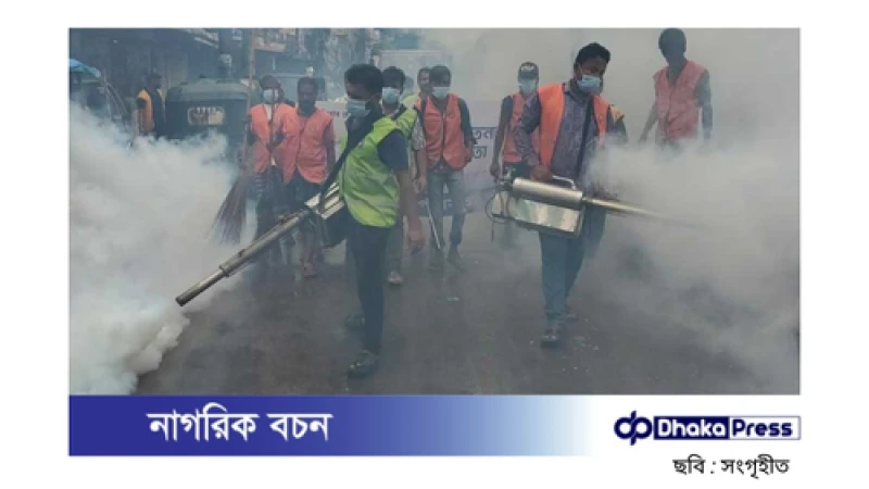 চাঁদপুর পৌরসভায় ডেঙ্গু প্রতিরোধে মাসব্যাপী কার্যক্রম