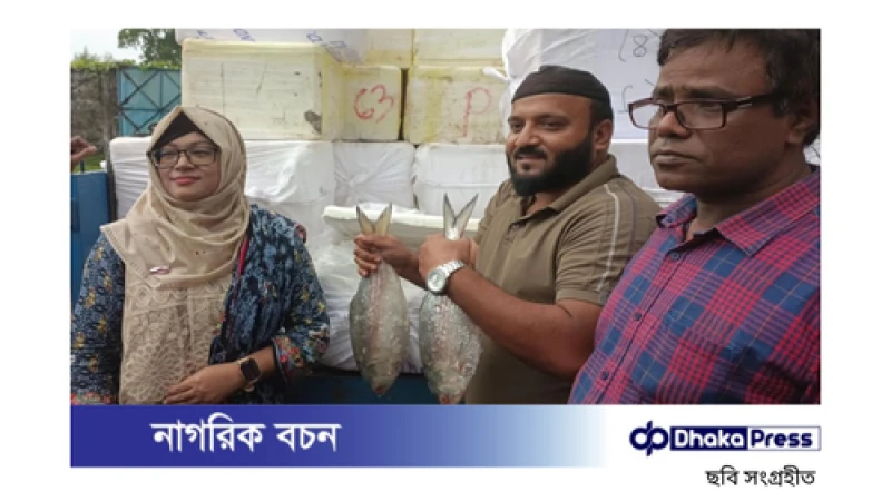 ব্রাহ্মণবাড়িয়ার আখাউড়া স্থলবন্দর দিয়ে ভারতে ইলিশ রপ্তানি