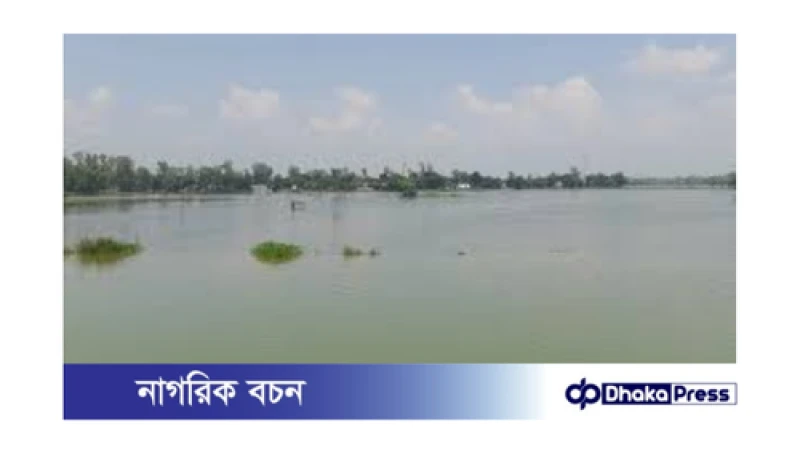 বগুড়া সারিয়াকান্দিতে নদীগুলোর পানি বৃদ্ধির ফলে ক্ষতিগ্রস্ত কৃষিজমি