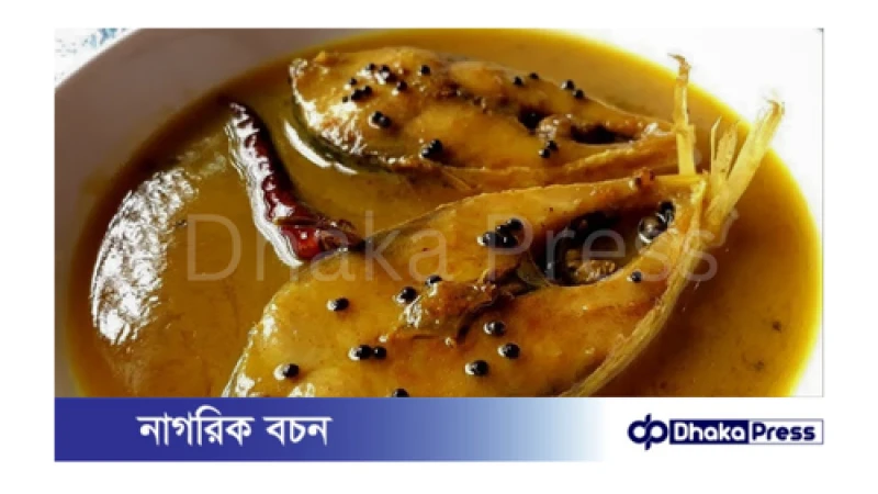 ভিন্ন স্বাদের ইলিশের টক-ঝাল রেসিপি