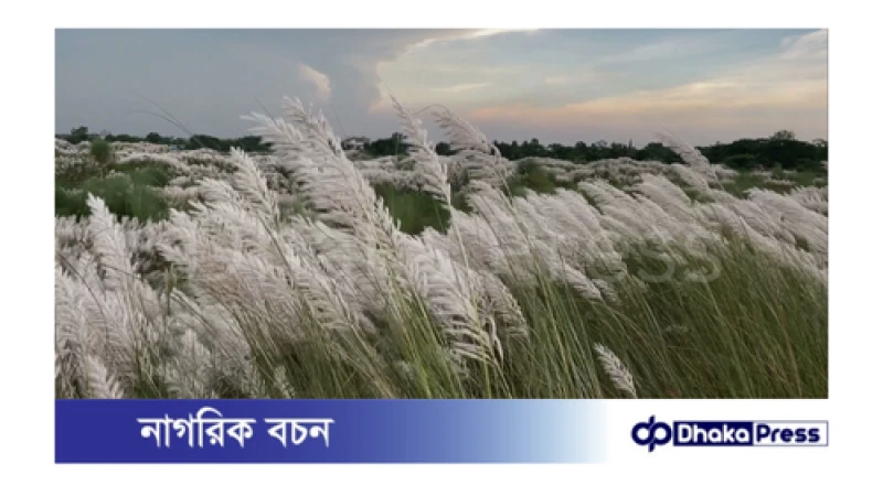 শরতে স্বর্গ নামে যেসব স্থানে