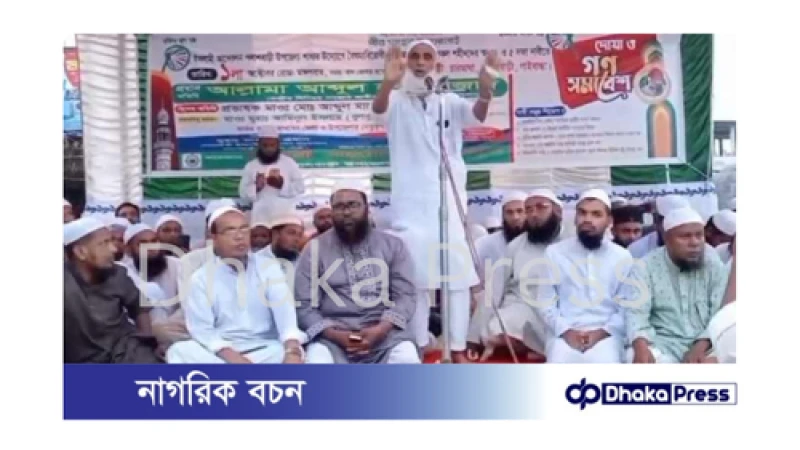 পলাশবাড়ীতে ইসলামী আন্দোলনের উদ্যোগে বৈষম্যবিরোধী ছাত্র আন্দোলনের শহীদদের স্মরণে দোয়া ও গণ সমাবেশ