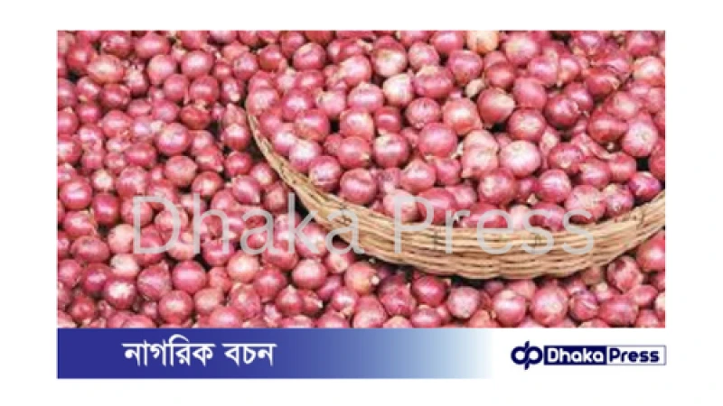 হিলি স্থলবন্দর দিয়ে পেঁয়াজ আমদানি বৃদ্ধি, দাম কমলো