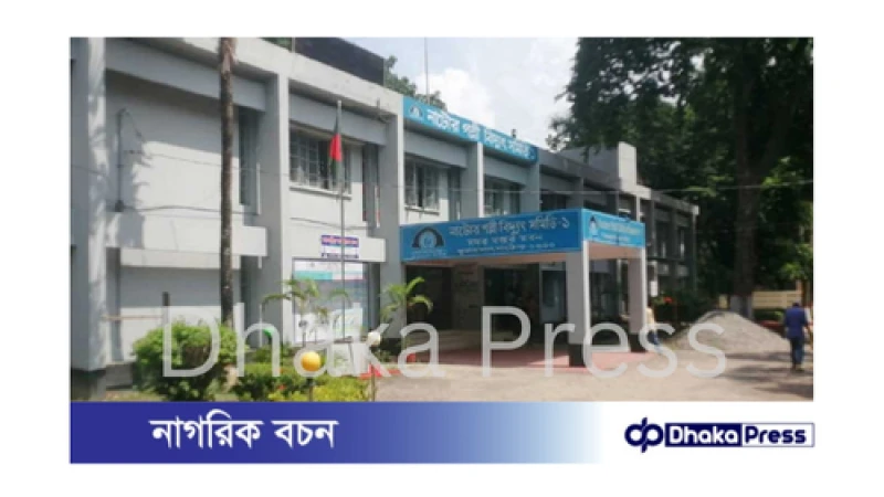 বিদ্যুৎ বিলের বিশাল ভুল: সংশোধন ও শাস্তিমূলক ব্যবস্থা