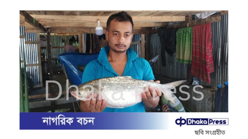 ২ কেজি ২৮০ গ্রাম ওজনের এক ইলিশ বিক্রি হলো ৬ হাজার ৮৪০ টাকায়