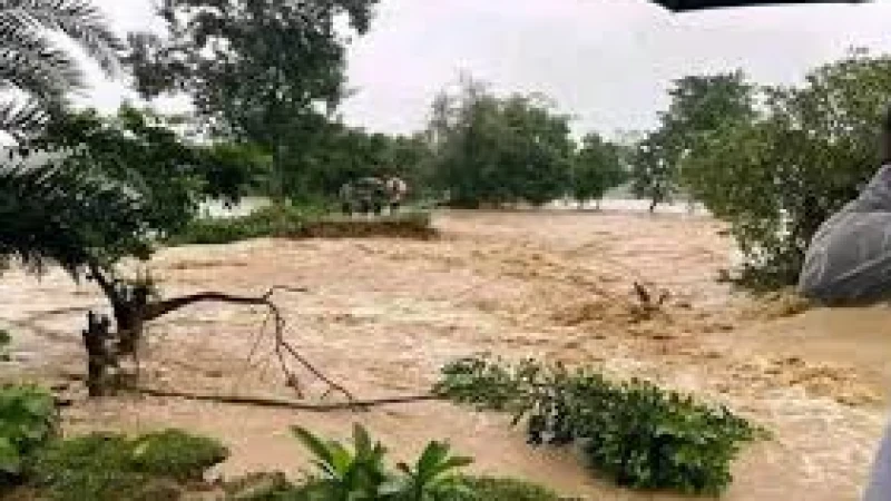 ময়মনসিংহসহ তিন জেলায় বন্যায় ১০ জনের মৃত্যু