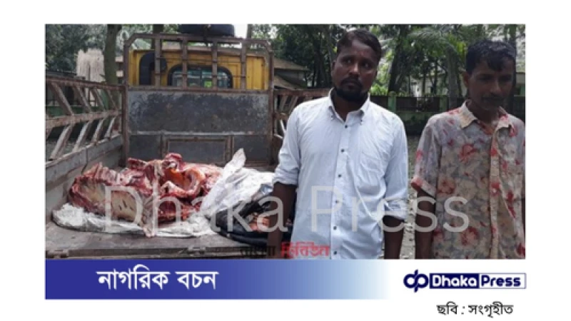 অসুস্থ গরু জবাই: দুই কসাইকে কারাদণ্ড