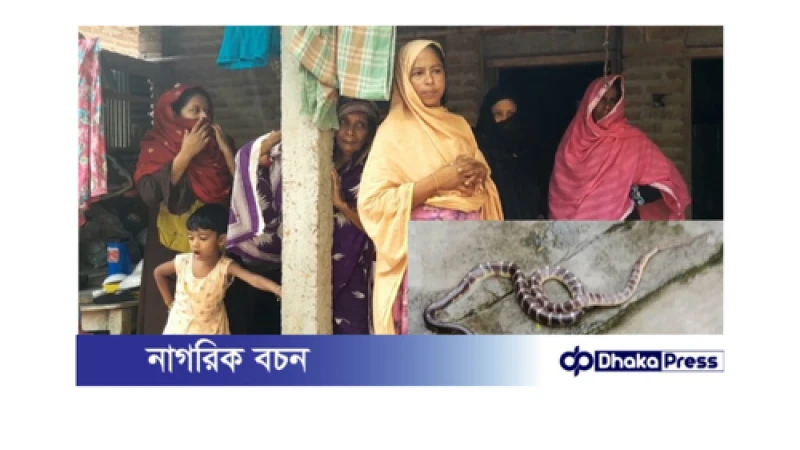 বড়াইগ্রামে বাবার বাড়িতে বেড়াতে এসে কেউটে সাপের কামড়ে গৃহবধূর মৃত্যু 