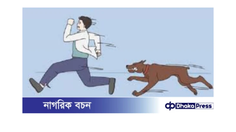 কুড়িগ্রামে একদিনে কুকুরের কামড়ে আহত ১৫, প্রতিষেধক সংকট