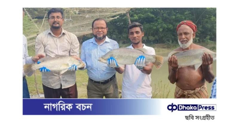 পটুয়াখালীর আনোয়ারের সাফল্য: পুকুরে কোরাল চাষ