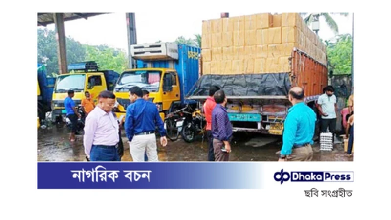 ভারত থেকে ডিম আমদানি: সোয়া দুই লাখ ডিম