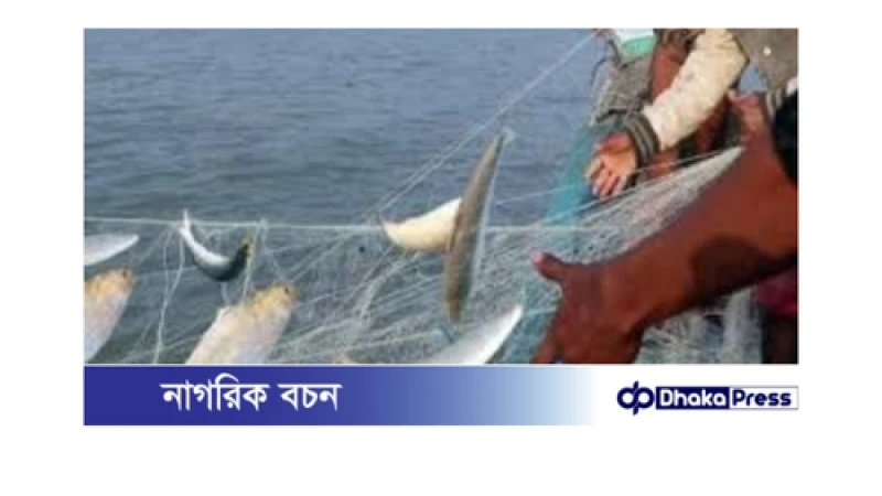 ইলিশ শিকারে নিষেধাজ্ঞা উঠলো, ২২ দিন পর নদীতে নামবে জেলেরা