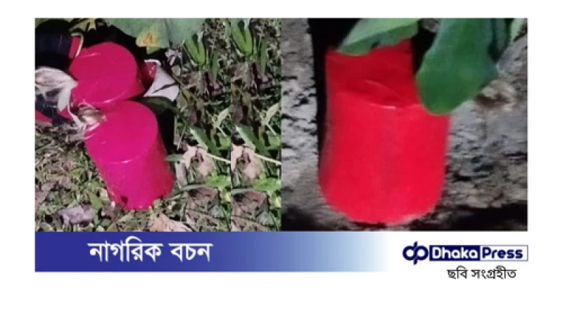 পঞ্চগড়ে যুবদলের কর্মীসভায় ককটেল বিস্ফোরণ