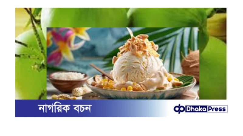 ডাবের পানি দিয়ে বাড়িতে বানান সুস্বাদু আইসক্রিম