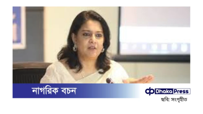 নতুন ইটভাটা অনুমোদন বন্ধ,বায়ুদূষণ রোধে সরকারের উদ্যোগ:  রিজওয়ানা হাসান