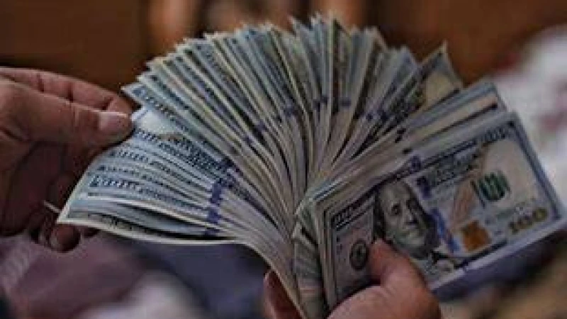 পাকিস্তান কেন্দ্রীয় ব্যাংকের রিজার্ভ আছে এক মাসের