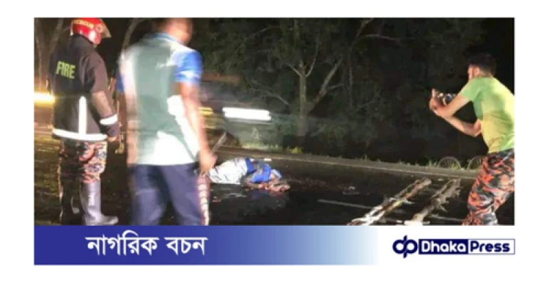 বড়াইগ্রাম বাসের ধাক্কায় ভ্যানচালক ছিটকে ট্রাকের তলে, চাকায় পিষ্ট হয়ে মৃত্যু