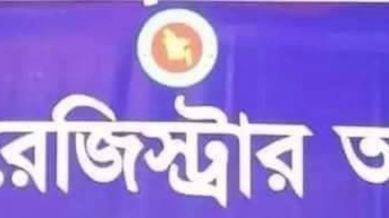 পলাশবাড়ী সাব রেজিস্ট্রার অফিসের  দলিল লেখকদের হাতে জিম্মি শত শত ক্রেতা বিক্রেতা!