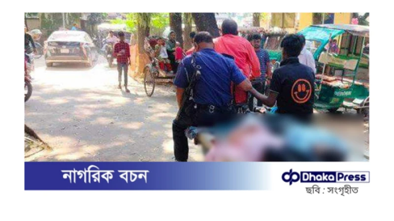 শেরপুরে পিকআপ-অটোরিকশার সংঘর্ষে তিনজন নিহত
