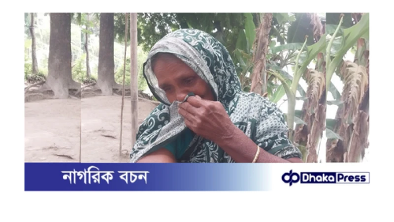 বয়স্ক ভাতার টাকায় চলছে না সুখ জাদীর জীবন, ভিক্ষাবৃত্তিই ভরসা 