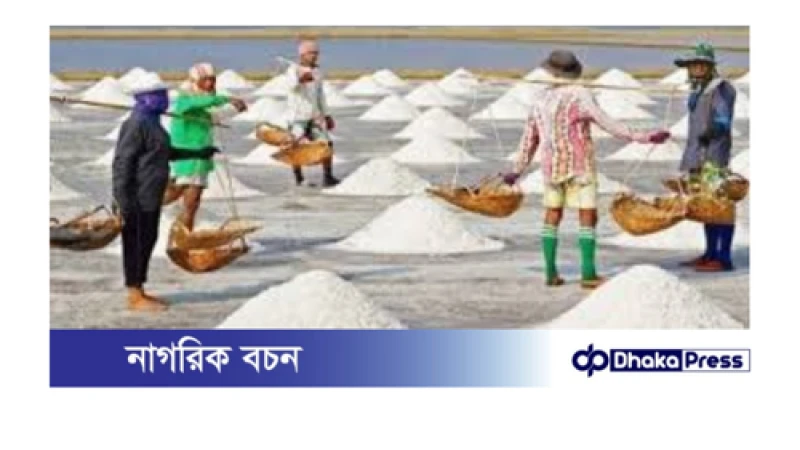 উপকূলে লবণ উৎপাদন শুরু, দাম নিয়ে হতাশ চাষি