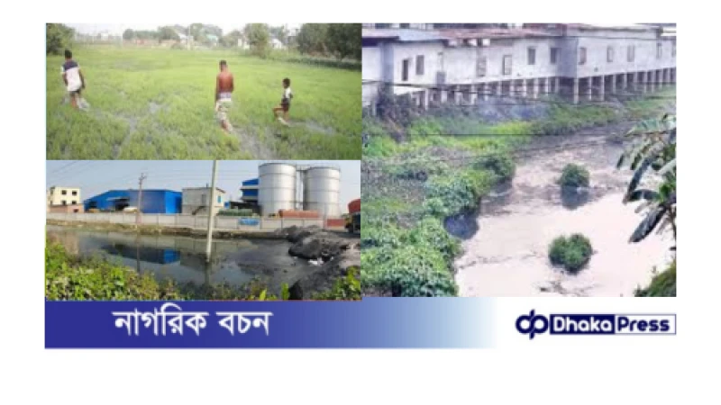 কৃষি জমিতে কারখানার বর্জ্য, বিপাকে কৃষক