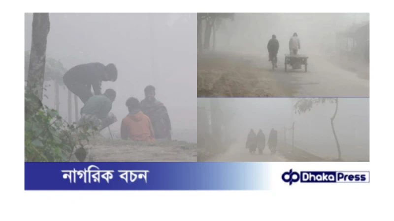 কুড়িগ্রামে বাড়ছে কুয়াশা-শীতের তীব্রতা, তাপমাত্রা ১৬.৮ ডিগ্রি