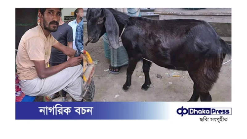 ছাগল চুরি করে পালানোর পথে পুলিশের হাতে ধরা যুবক