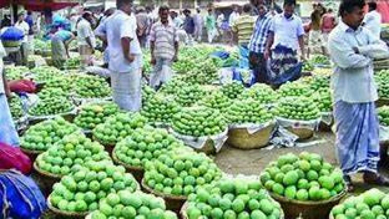 দাম পাচ্ছেন না আমচাষিরা