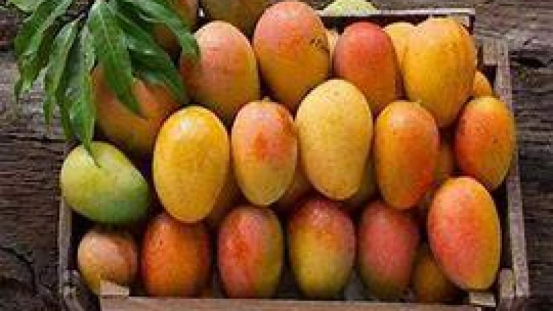 ফরমালিন দেওয়া আম চেনার উপায়