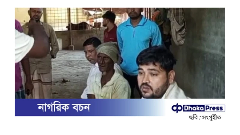 অস্ত্র ঠেকিয়ে পটিয়ায় ২১ গরু লুট, আহত ৩