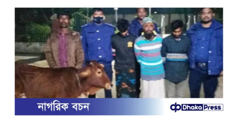 চিলমারীতে গরু চোর আটক 