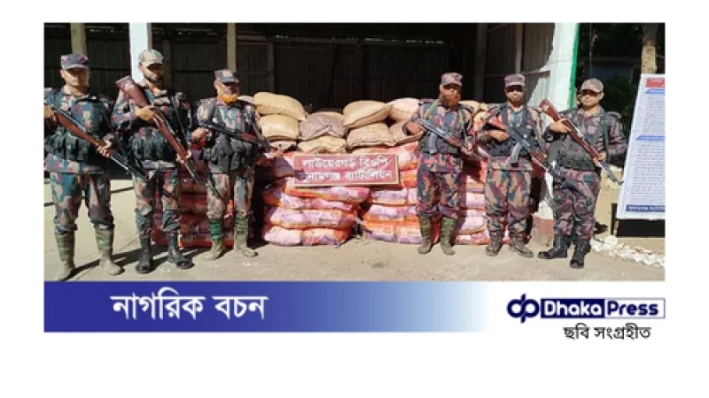 সীমান্তে ১২ লাখ টাকার ভারতীয় চিনি ও আনার জব্দ