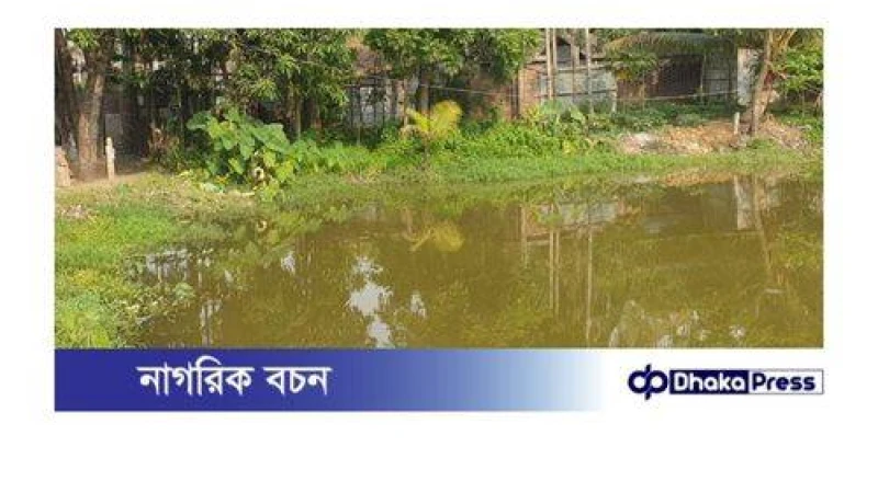 শিবচরে পুকুরে ডুবে ভাই-বোনের মৃত্যু