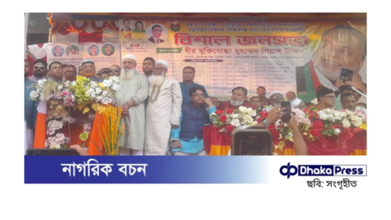 স্বৈরাচার পালিয়ে গেছে, কিন্তু গণতন্ত্র এখনো প্রতিষ্ঠিত হয়নি: গিয়াসউদ্দিন