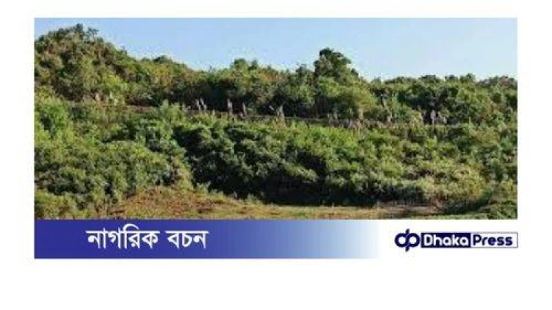 টেকনাফে অস্ত্রের মুখে ৩ শ্রমিক অপহৃত